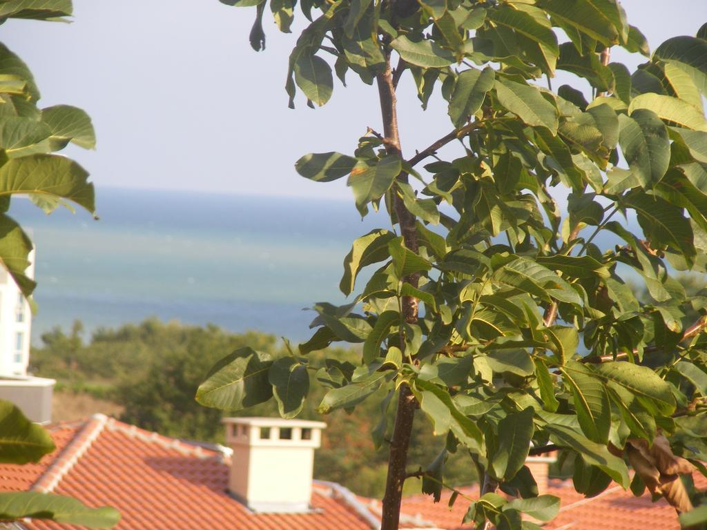 Guest House "Zora - Sarafovo" Burgas Exterior foto